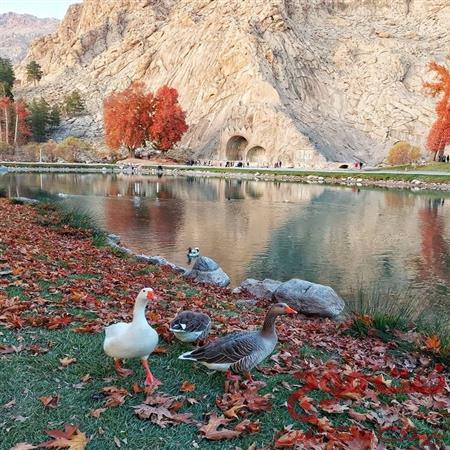 زادگاهم سنقرکلیایی