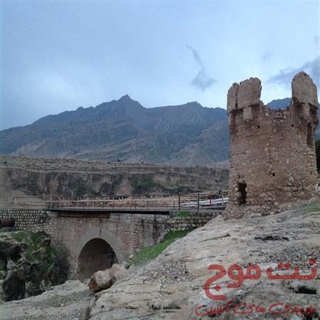 کانال خبری پاعلم